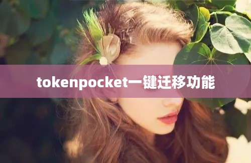 tokenpocket一键迁移功能