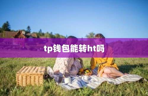 tp钱包能转ht吗