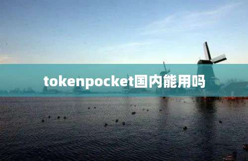 tokenpocket国内能用吗