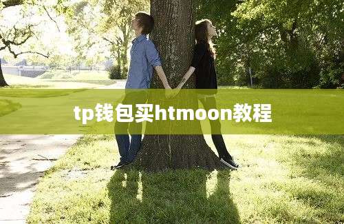 tp钱包买htmoon教程