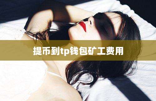提币到tp钱包矿工费用