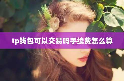 tp钱包可以交易吗手续费怎么算