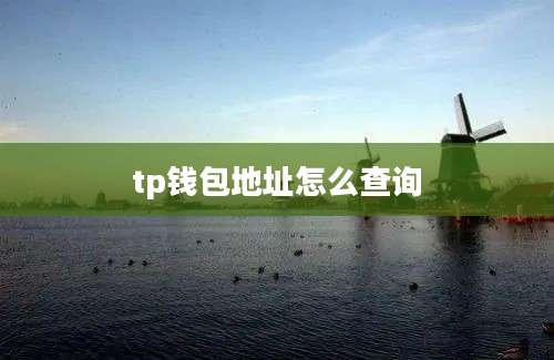 tp钱包地址怎么查询