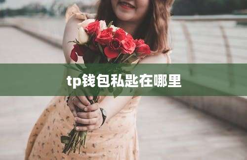 tp钱包私匙在哪里