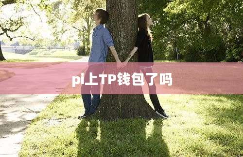pi上TP钱包了吗