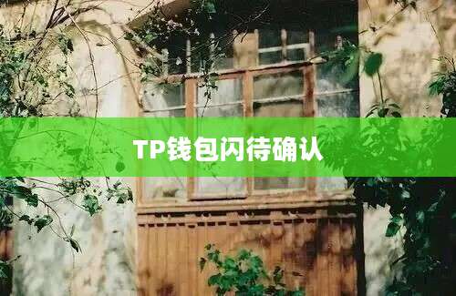 TP钱包闪待确认