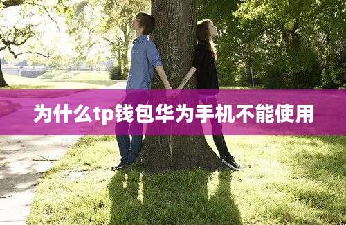 为什么tp钱包华为手机不能使用