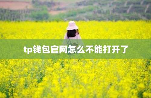 tp钱包官网怎么不能打开了