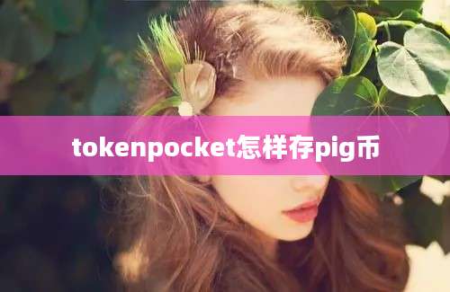 tokenpocket怎样存pig币
