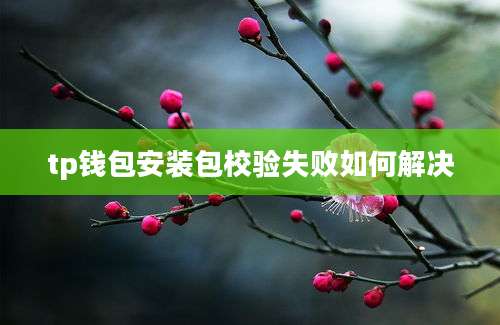 tp钱包安装包校验失败如何解决