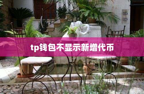 tp钱包不显示新增代币