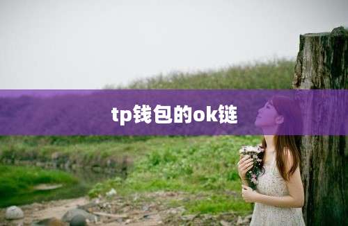 tp钱包的ok链