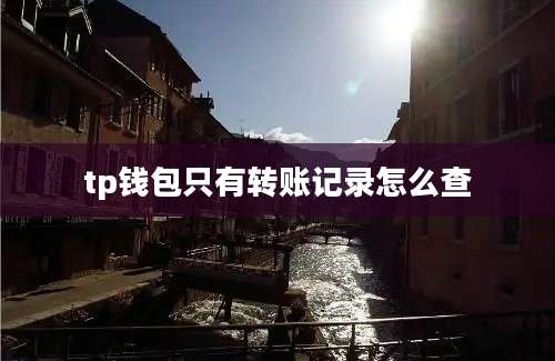 tp钱包只有转账记录怎么查