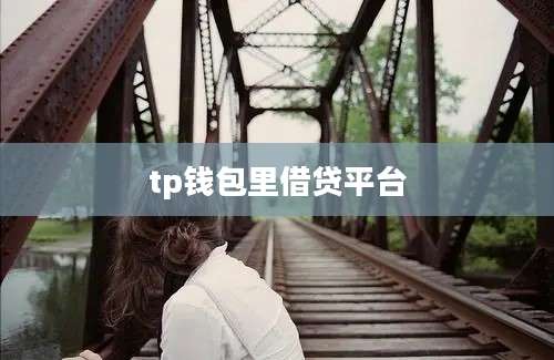 tp钱包里借贷平台