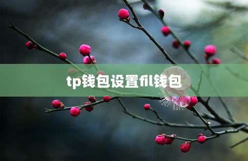 tp钱包设置fil钱包