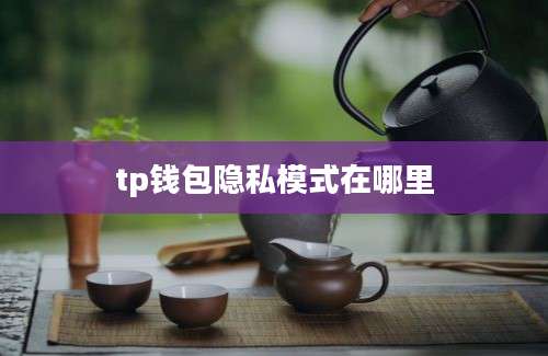 tp钱包隐私模式在哪里