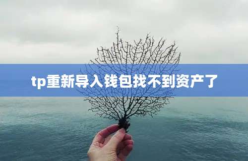 tp重新导入钱包找不到资产了