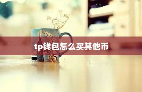 tp钱包怎么买其他币