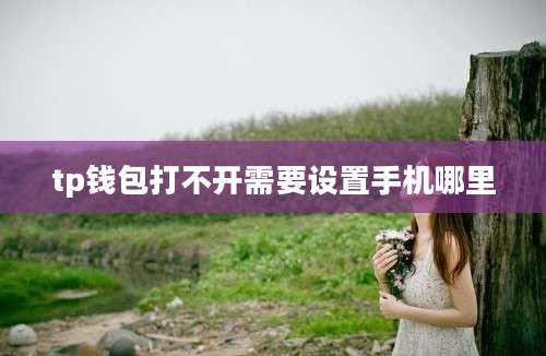 tp钱包打不开需要设置手机哪里