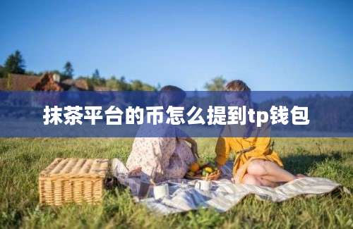 抹茶平台的币怎么提到tp钱包