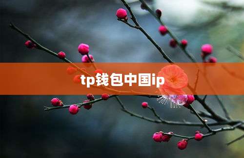 tp钱包中国ip