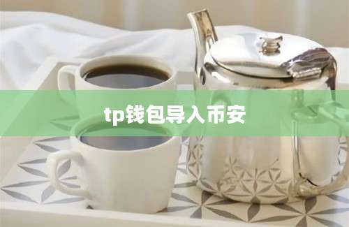 tp钱包导入币安