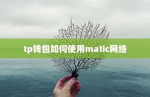 tp钱包如何使用matic网络