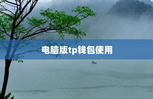 电脑版tp钱包使用