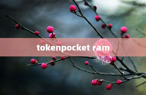 tokenpocket ram