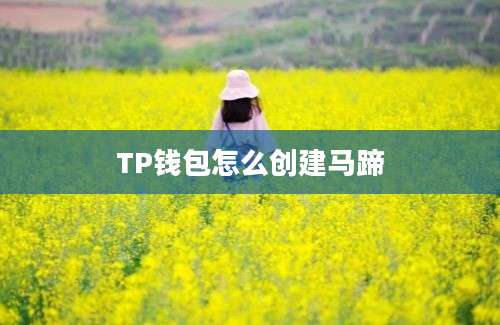 TP钱包怎么创建马蹄