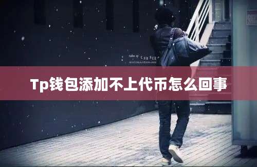 Tp钱包添加不上代币怎么回事