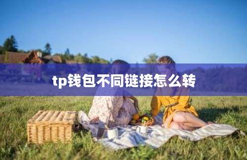 tp钱包不同链接怎么转