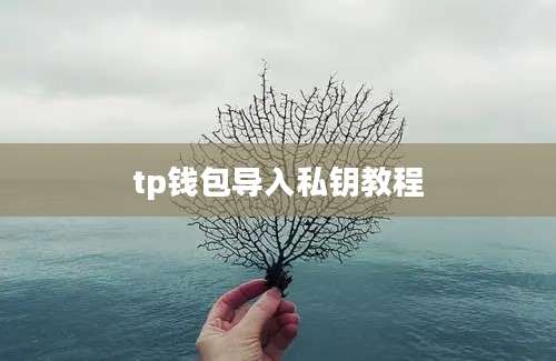 tp钱包导入私钥教程