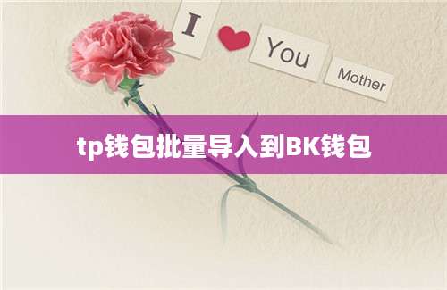 tp钱包批量导入到BK钱包