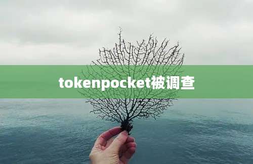 tokenpocket被调查