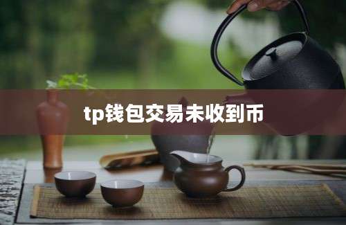 tp钱包交易未收到币