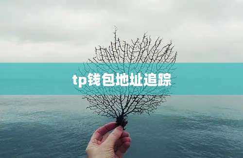 tp钱包地址追踪