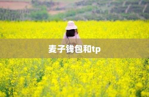 麦子钱包和tp