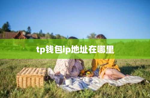 tp钱包ip地址在哪里