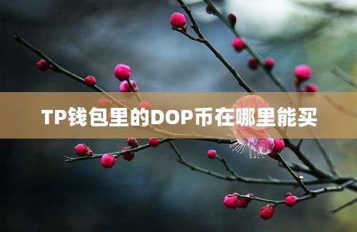 TP钱包里的DOP币在哪里能买
