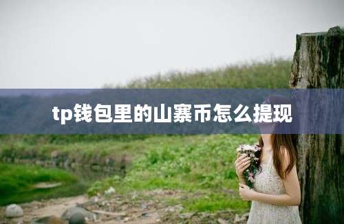 tp钱包里的山寨币怎么提现