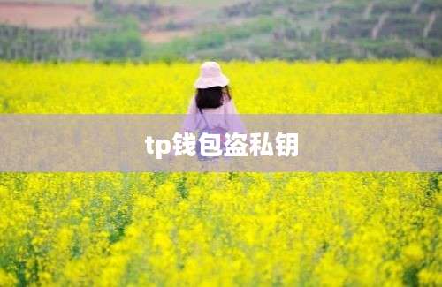 tp钱包盗私钥