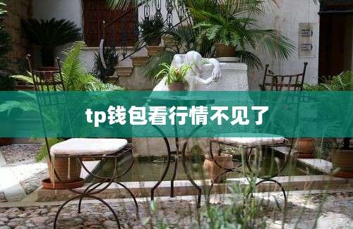 tp钱包看行情不见了
