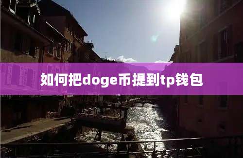 如何把doge币提到tp钱包