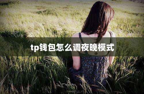 tp钱包怎么调夜晚模式