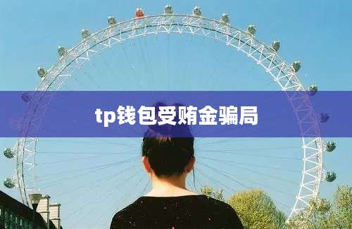 tp钱包受贿金骗局