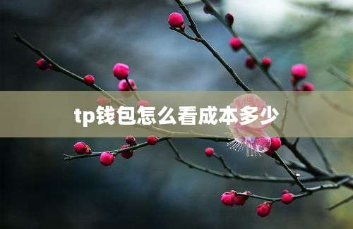 tp钱包怎么看成本多少