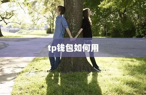 tp钱包如何用