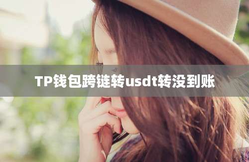 TP钱包跨链转usdt转没到账