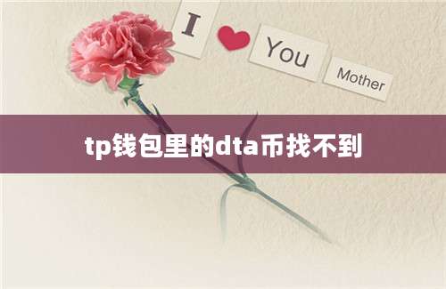 tp钱包里的dta币找不到